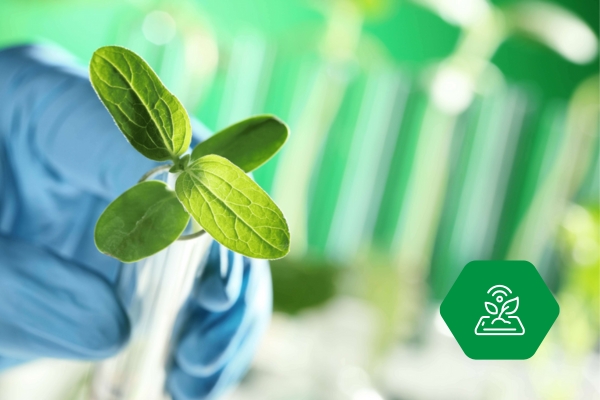 Laboratoriumapparatuur voor akker en tuinbouw onderzoek