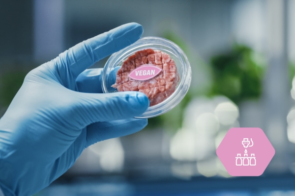 Laboratoriumapparatuur voor kwaliteitscontrole in de voedingsindustrie